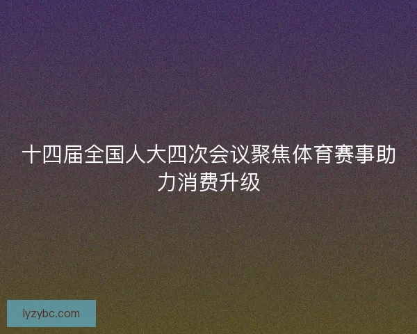 十四届全国人大四次会议聚焦体育赛事助力消费升级